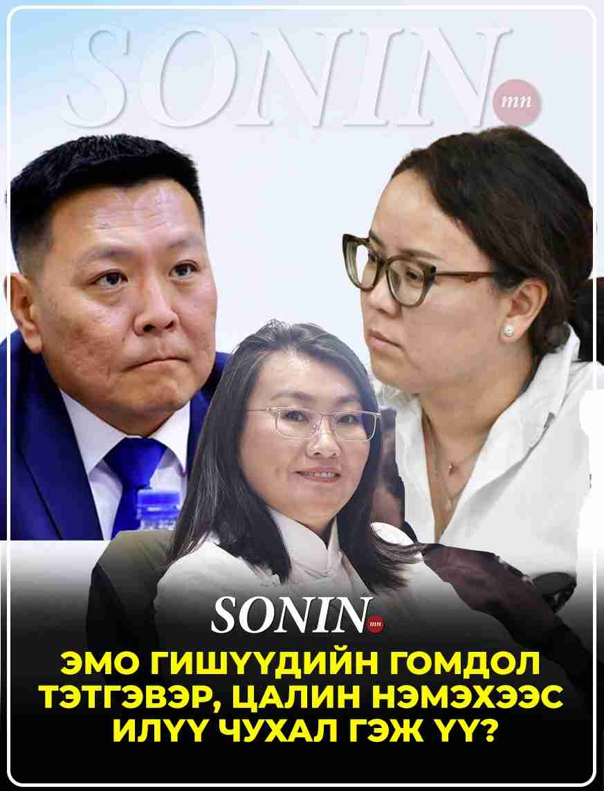 Эмо гишүүдийн гомдол тэтгэвэр, цалин нэмэхээс илүү чухал гэж үү?
